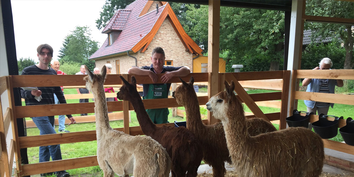 Tierkauf von Vechtetal Alpakas